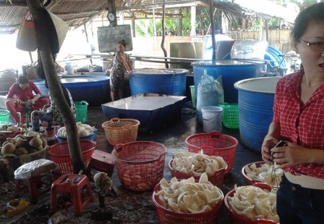 Mekong delta tour (3)
